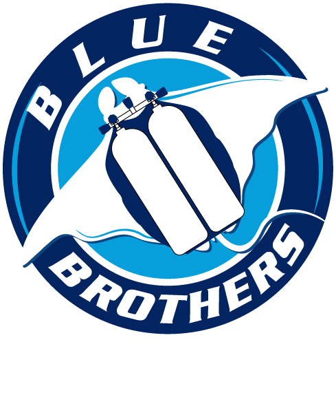 Blue Brother Tek